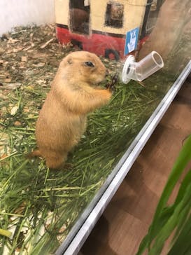 アニタッチみなとみらいに投稿された画像（2023/7/16）