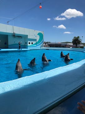 南知多ビーチランド＆南知多おもちゃ王国に投稿された画像（2023/7/16）