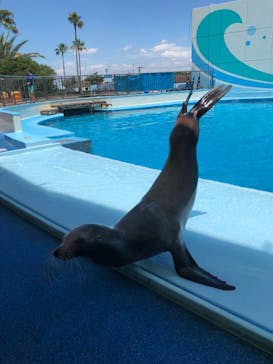 南知多ビーチランド＆南知多おもちゃ王国に投稿された画像（2023/7/16）