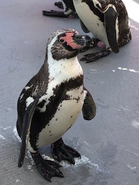 南知多ビーチランド＆南知多おもちゃ王国に投稿された画像（2023/7/16）