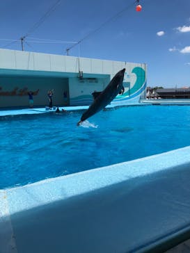 南知多ビーチランド＆南知多おもちゃ王国に投稿された画像（2023/7/16）