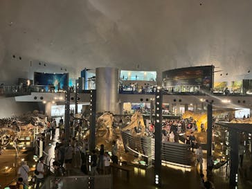 福井県立恐竜博物館に投稿された画像（2023/7/16）