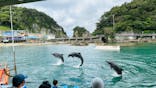 下田海中水族館に投稿された画像（2023/7/16）