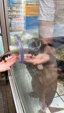 下田海中水族館に投稿された画像（2023/7/16）