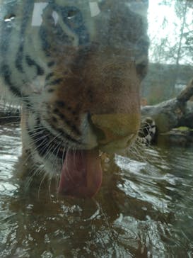 那須どうぶつ王国に投稿された画像（2023/7/16）