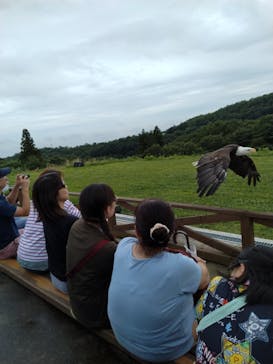 那須どうぶつ王国に投稿された画像（2023/7/16）