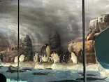 名古屋港水族館に投稿された画像（2023/7/16）
