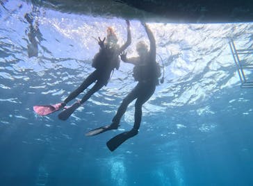 青の洞窟専門店　沖縄ダイビングショップ和に投稿された画像（2023/7/16）