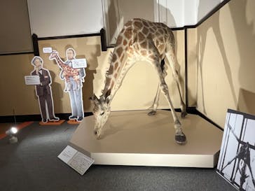 国立科学博物館に投稿された画像（2023/7/16）