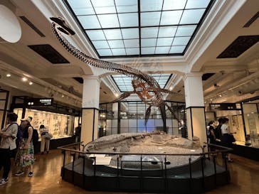 国立科学博物館に投稿された画像（2023/7/16）