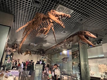 国立科学博物館に投稿された画像（2023/7/16）