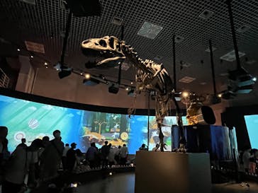 国立科学博物館に投稿された画像（2023/7/16）