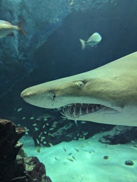 マリンワールド海の中道に投稿された画像（2023/7/16）