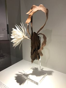 あべのハルカス美術館に投稿された画像（2023/7/16）