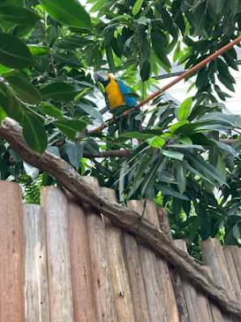 神戸どうぶつ王国に投稿された画像（2023/7/16）