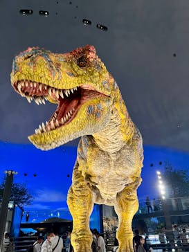 福井県立恐竜博物館に投稿された画像（2023/7/16）