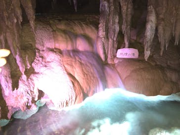 おきなわワールドに投稿された画像（2023/7/16）