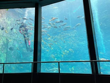 下田海中水族館に投稿された画像（2023/7/16）