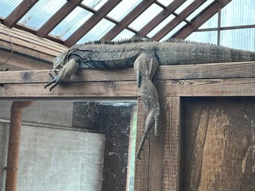 体感型動物園iZooに投稿された画像（2023/7/16）