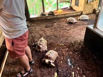 体感型動物園iZooに投稿された画像（2023/7/16）