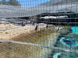 天王寺動物園に投稿された画像（2023/7/16）