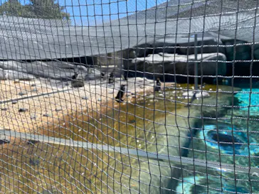 天王寺動物園に投稿された画像（2023/7/16）