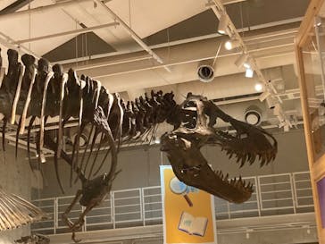 国立科学博物館に投稿された画像（2023/7/16）