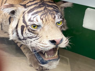 国立科学博物館に投稿された画像（2023/7/16）