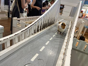 アニタッチみなとみらいに投稿された画像（2023/7/16）