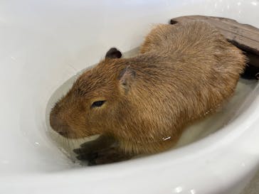 アニタッチみなとみらいに投稿された画像（2023/7/16）