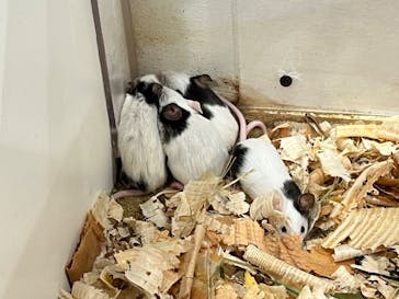 アニタッチみなとみらいに投稿された画像（2023/7/16）