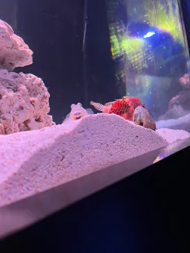 マクセル アクアパーク品川に投稿された画像（2023/7/16）