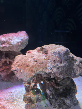 マクセル アクアパーク品川に投稿された画像（2023/7/16）