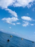 海カフェ ジェノア（海遊びシヨウゼ!!️）に投稿された画像（2023/7/16）
