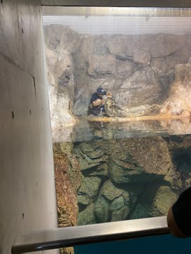 城崎マリンワールドに投稿された画像（2023/7/16）