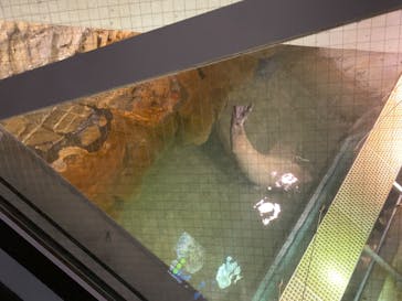 城崎マリンワールドに投稿された画像（2023/7/16）