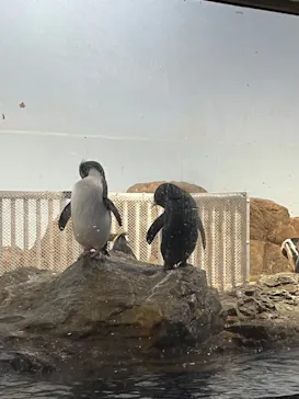 マクセル アクアパーク品川に投稿された画像（2023/7/16）