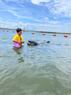 日間賀島ドルフィンビーチに投稿された画像（2023/7/16）