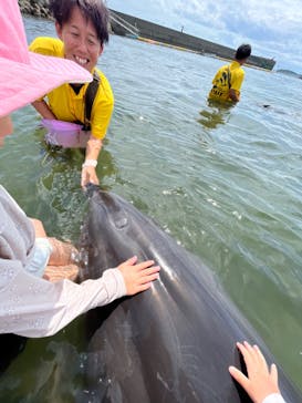 日間賀島ドルフィンビーチに投稿された画像（2023/7/16）