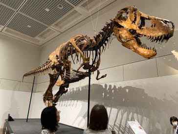 大阪市立自然史博物館に投稿された画像（2023/7/16）