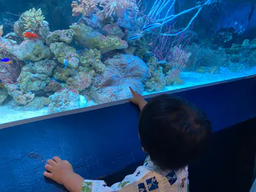 マクセル アクアパーク品川に投稿された画像（2023/7/16）