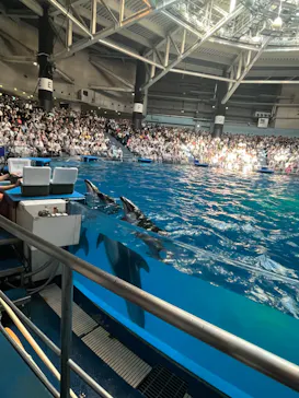 マクセル アクアパーク品川に投稿された画像（2023/7/16）