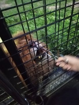 那須サファリパークに投稿された画像（2023/7/16）