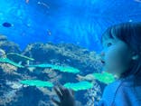 アクアワールド茨城県大洗水族館に投稿された画像（2023/7/17）