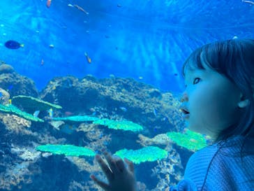 アクアワールド茨城県大洗水族館に投稿された画像（2023/7/16）