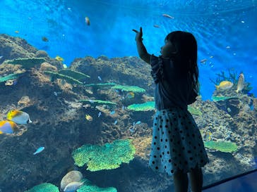 アクアワールド茨城県大洗水族館に投稿された画像（2023/7/16）
