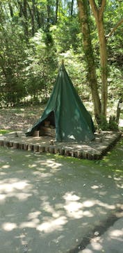 ムーミンバレーパークに投稿された画像（2023/7/16）