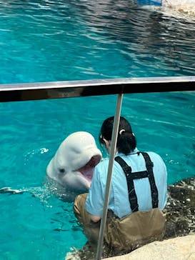 名古屋港水族館に投稿された画像（2023/7/16）