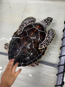 南知多ビーチランド＆南知多おもちゃ王国に投稿された画像（2023/7/16）