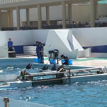 鴨川シーワールドに投稿された画像（2023/7/16）